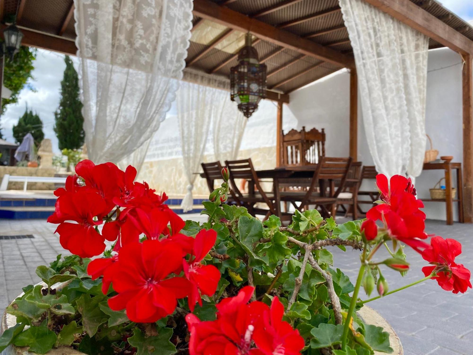 Authentic Canary Style Villa With Private Pool And Garden- Casa Juan Vera Гранадилла-де-Абона Экстерьер фото